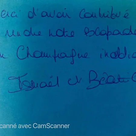 Le Loft Vintage Avec Netflix, Velos, Parking Gratuit Épernay